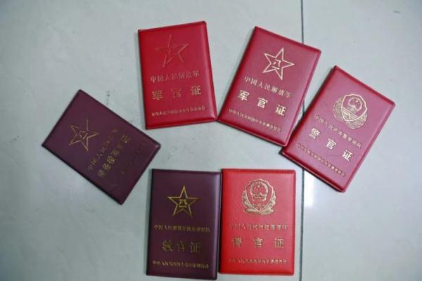 大丰收心冰论坛